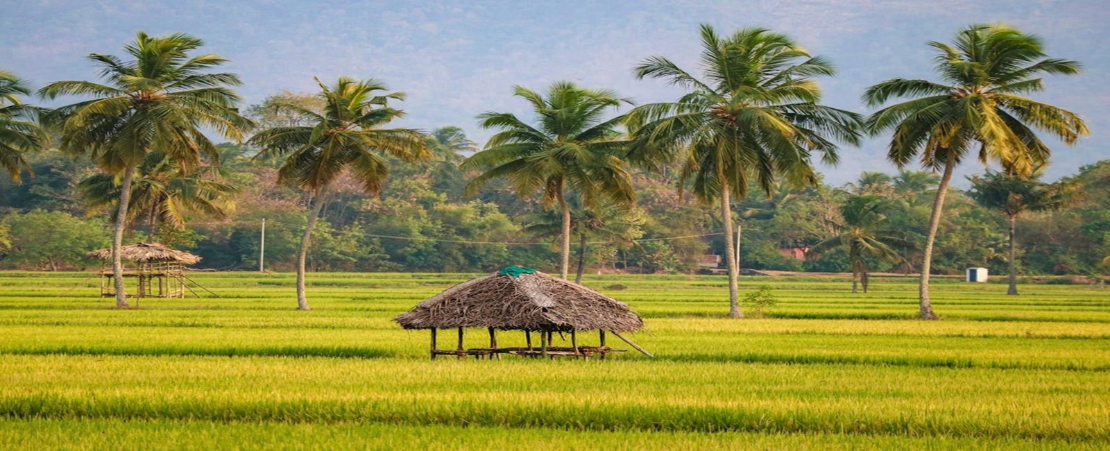 Varma Tours and Travels Cabs booking