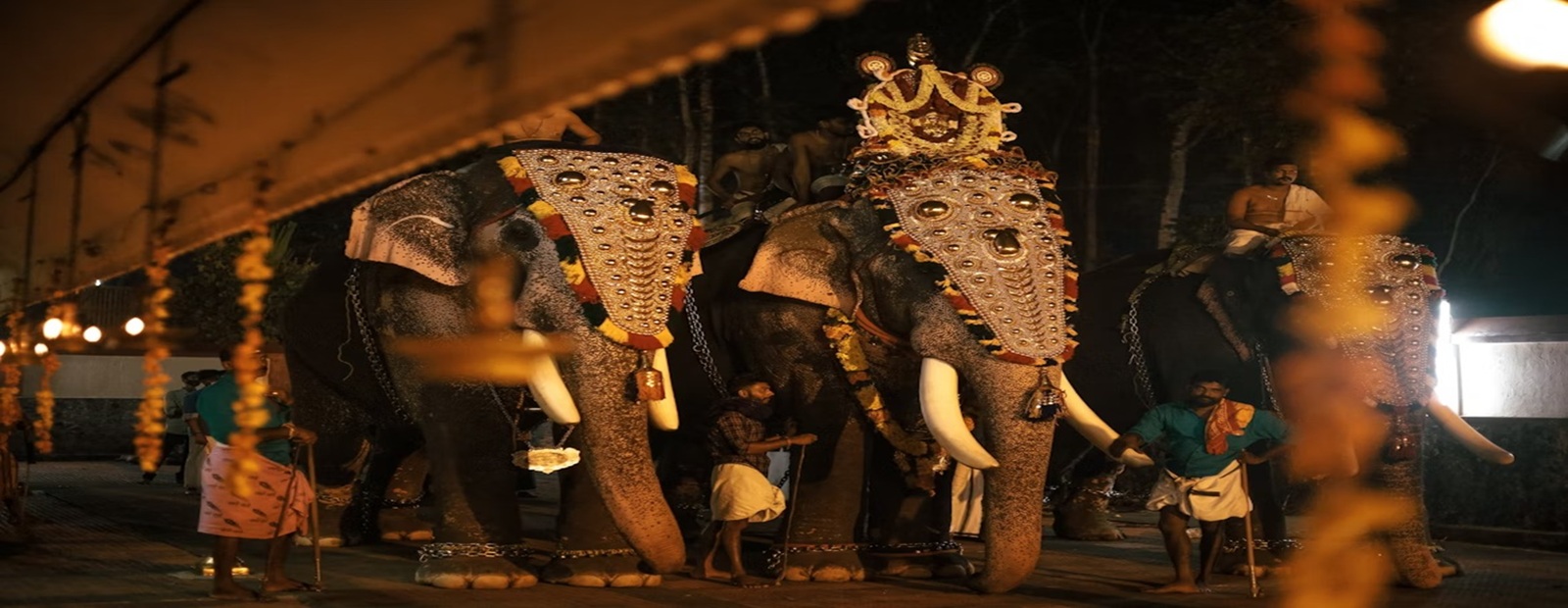 Varma Tours and Travels Cabs booking